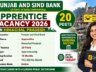 Punjab and Sind Bank Apprentice Vacancy 2026 in HImachal for 20 Posts